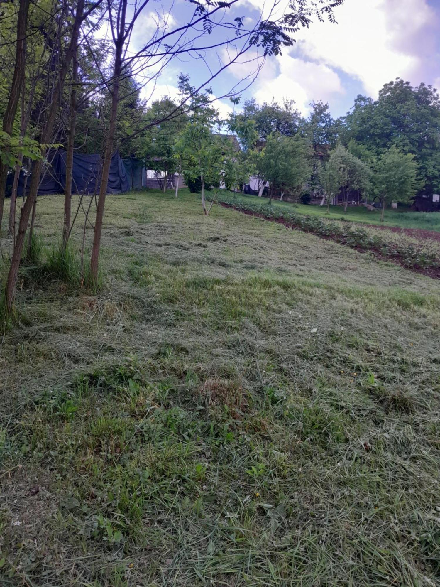Dolores Tesanj Exterior foto
